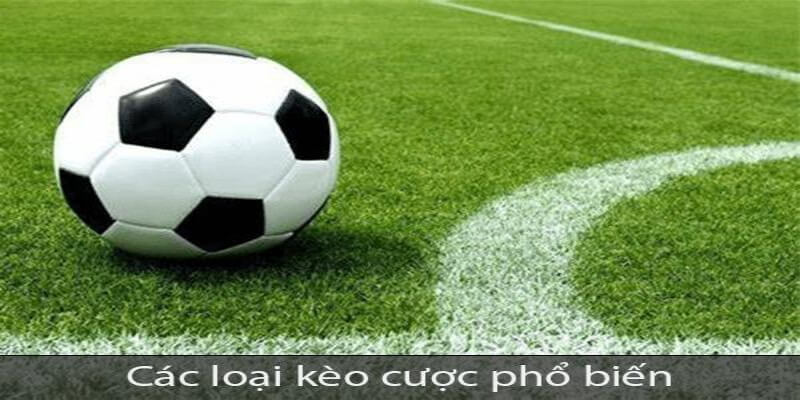 Các loại kèo cá cược thể thao New88 phổ biến 
